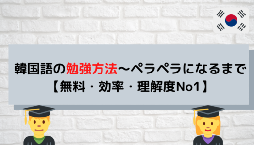 韓国語の勉強方法 ペラペラになるまで 無料 効率 理解度no1 ぐんぐん独学韓国語