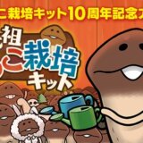 『元祖なめこ栽培キット』が韓国で大人気！人気の理由や攻略ポイントを紹介