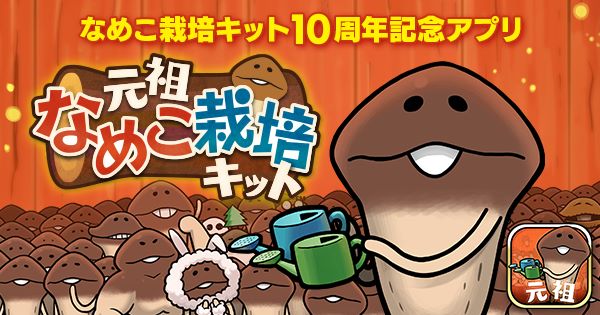 『元祖なめこ栽培キット』が韓国で大人気！人気の理由や攻略ポイントを紹介