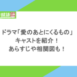 ドラマ「愛のあとにくるもの」のキャストを紹介!あらすじや相関図も!